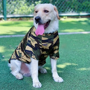 �����·���ë��������߅����ʿ�����ʹ���Ȯ�Բʱ��ı���͸���ļ�