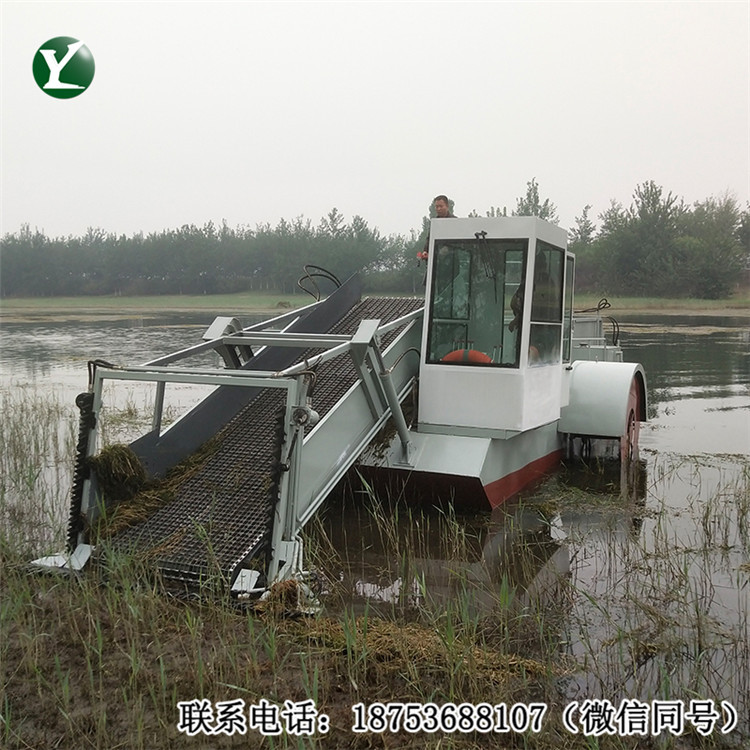 清理水面水花生水草收割船 水浒苔水草垃圾打捞船 河道清草除草船