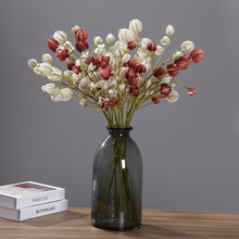 ¿\ٻҾb[ܛbˇĔz߿羳l