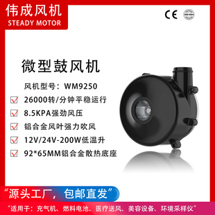 WM9250-12V/24V ���L���oˢֱ�����L�C �C�������L�C