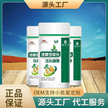 【沙棘虫草片】昌济平沙棘虫草片人参蛹虫草正品压片糖果