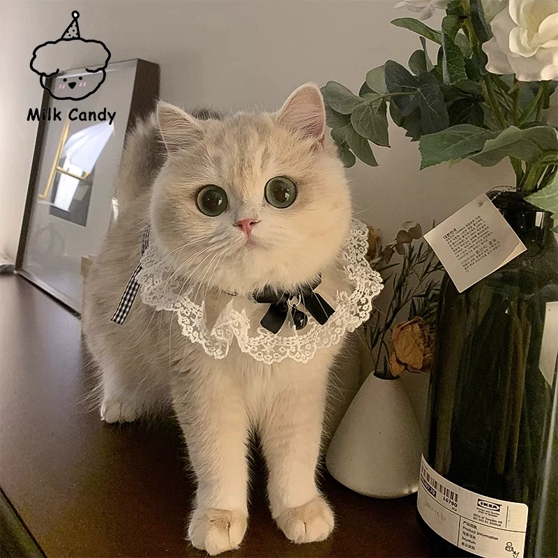 Scarf, eating bib, cute bow tie with bow, gold and silver