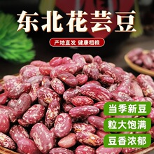 农家东北花芸豆新货大粒饭豆五谷杂粮红芸豆红腰豆大碴粥用粗粮