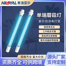 ���⾀�����������׃��@ʯӢ�������ܳ����ζ˿��hĢ����S�Ҷ���