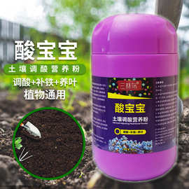 酸宝宝硫酸亚铁花肥喜酸植物防治黄叶盆栽土壤调酸碱专用水溶肥料
