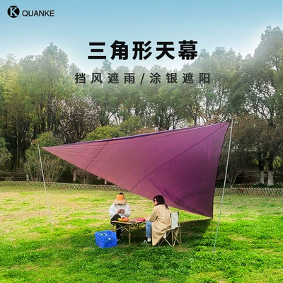 Avtomobil yan çətirləri — triangle canopy 3 M - dark-purple-333m