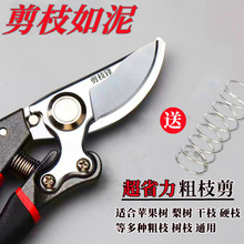 日本进口SK5钢果树修枝剪刀修枝剪园林园艺修剪葡萄修剪树枝剪刀