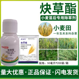 С������ Ȳ���� С������݄� Ұ���� ������ 50����43����ÿƿ