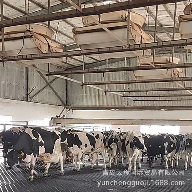 牛用马用猪用橡胶畜牧垫 挤奶厅牛通道下牛台用防滑胶板青岛云程