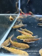 �������q ��ˮ�~ �����~ �����~