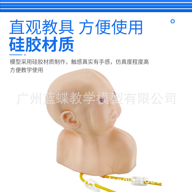 ����Ӥ��ͷ������ע�䴩��ѵ��ģ�� Ӥ��ͷƤע��ģ�� �轺ģ��