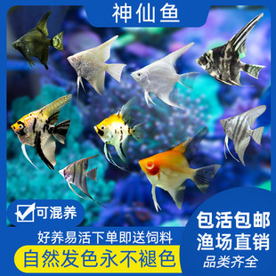�Ꭷ�^�p�~�����~���~�����߲�����С���~����w��ˮ��؈�t�^�{ħ