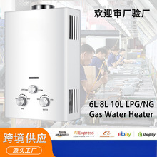即热式燃气热水器8L10L燃气丙烷液化石油气间歇泉燃气热水器