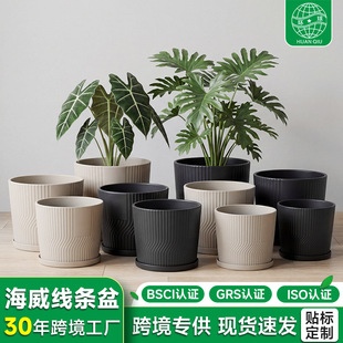 �羳���պ������l��A�����ϻ���Ӻ񱱚W���s���ϻ������С����