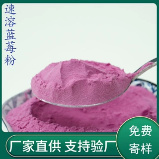 源头工厂生产喷雾干燥蓝莓粉 固体饮料果蔬粉食品1斤起现货批发