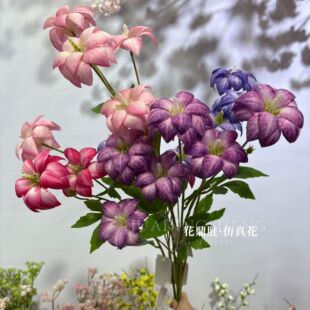 6�^ľ�m�� �L⏿羳���Ĳ͏d�̈��b�绨������zӰ���ߔ[�����滨