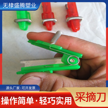 ��ժ���߲�ˮ�������S��ժ��С厵�����������횵�ժ�˲�ժĴָ��