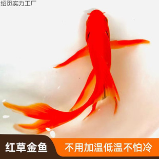 �t���~���B�ͻ��Lβ��t�^�p�~�\����ˮ�~�\�a�t��ˮ�~