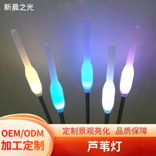 led尖头芦苇灯亚克力插地灯草地美陈亮化装饰景观灯 别墅庭院装饰