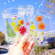 �ɻ�����͸��ƿPET�N�����ֹ�DIY���ϰ�ֲ�ﲣ������͹ŕ�������