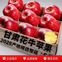 ���Y���b�����C��ˮ�߹���ţ�O�����rˮ����ͯ�ЋD���߹�����10��