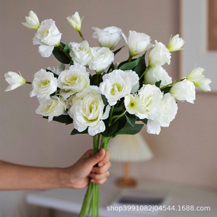 �羳��۹��ָл����W�͏d�������ٻ��[�OҰ�����յ��߻�c�b�