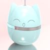 Roly-poly doll, toy, suitable for import, Amazon, new collection, cat, pet