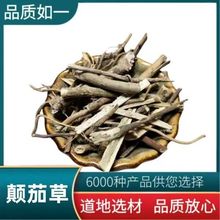 中药材 颠茄草别名 美女草 别拉多娜草 颠茄 支持药检 代磨粉