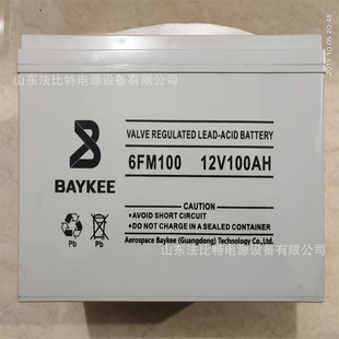 ����ؿ���늳�6FM100�y��ʽ��S�o12V100Ah֧���Ŀ�ڙ�BAYKEE