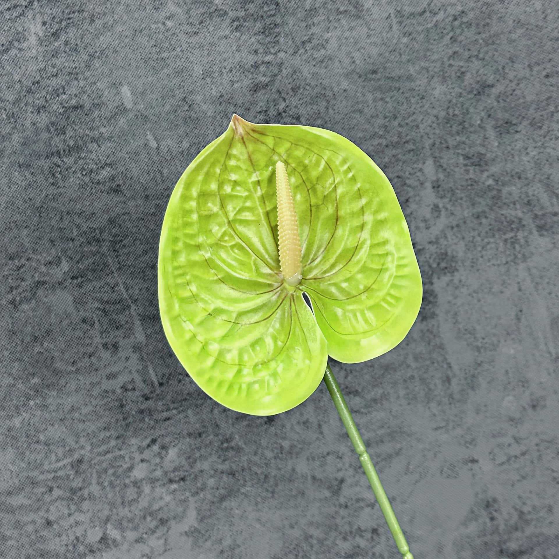 Decoración de Escenarios de Boda con Anturios Simulados, Decoración del Hogar, Accesorios de Fotografía, Adornos de Flores Artificiales en 3D para Venta al por Mayor