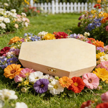 ����ǻҺ�ľ�|�f�}���ײ�ľ�������ռ{�и����b͹��ռ{�պ���