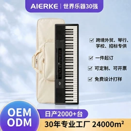 键盘类乐器;乐器配件;其他乐器