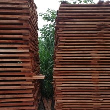 批量供应 干板 红椿木烘干木材 椿木自然宽板材