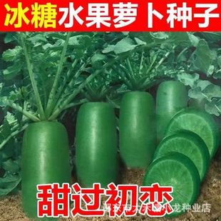 ����ˮ���}���N�����Դ����r���߲˷N���ļ����N����ԾG�}���N��