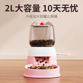 伊丽莎白圈;宠物项圈;狗狗清洁