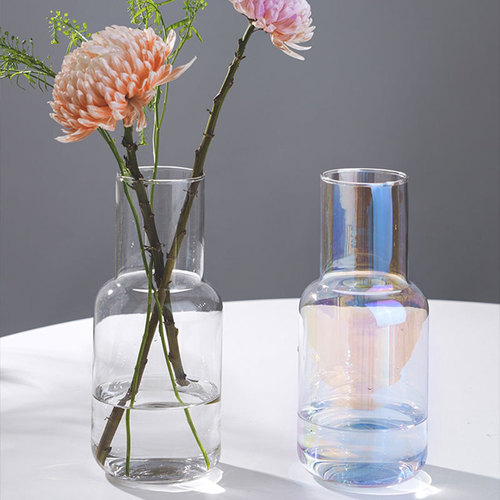 Simple style glass vase wholesale ins high-looking flower arrangement device home desktop decoration ornaments