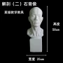 教学头像解剖肌肉石膏像