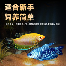 �����~�Ꭷ�^�p�~���~��ˮС���~���R�����~���B�ͻ���������~