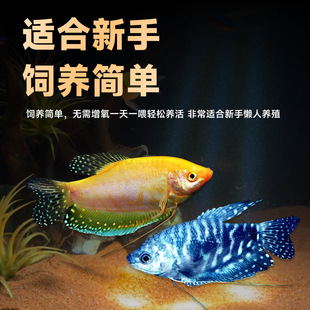 �����~�Ꭷ�^�p�~���~��ˮС���~���R�����~���B�ͻ���������~