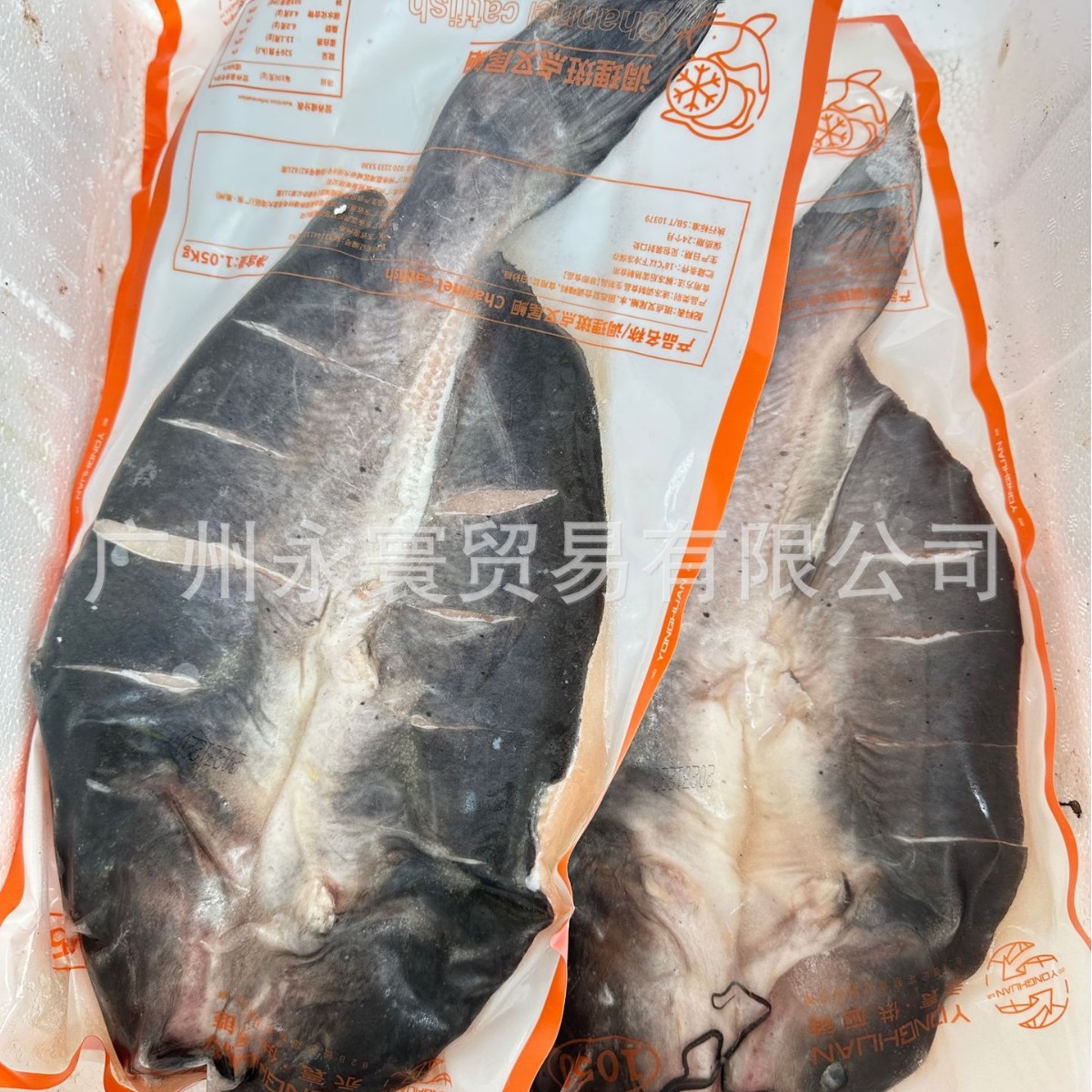 2024-05-14 16:51:08.jpg