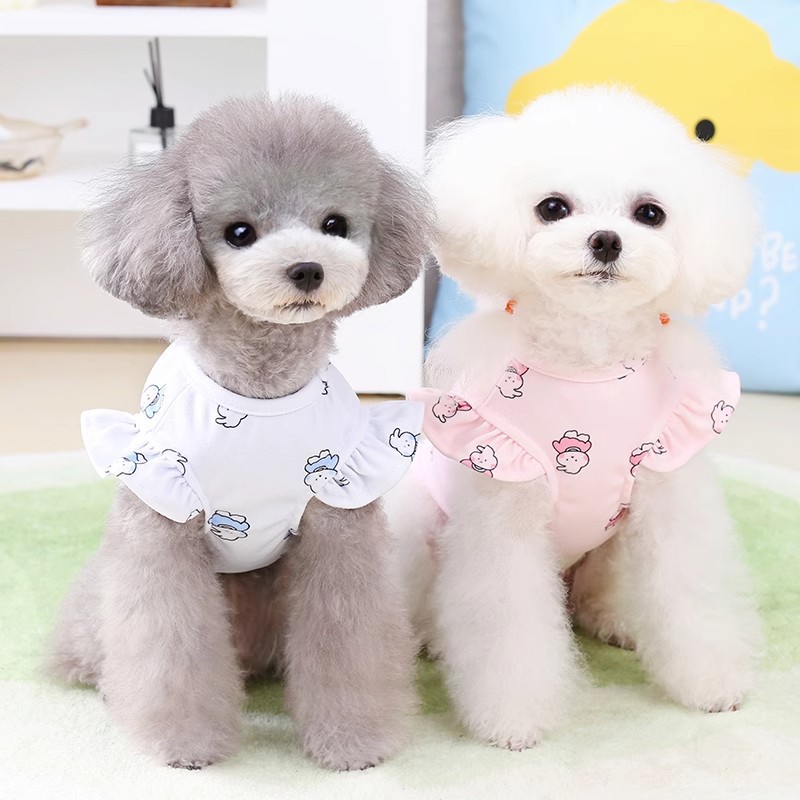 Summer clothes for puppies