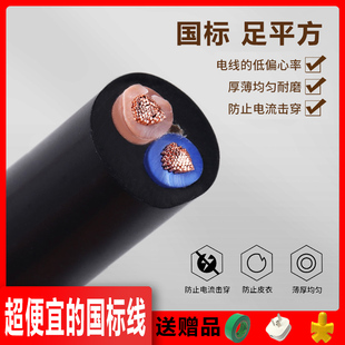National Standard Wire Household Soft Wire 2.5 Sheathed Wire 2/3 Core Charging Power Cord 1.5/4/6/10 Square Cable