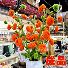 ��ƷŤŤ������������ܻ������Ą���Y��YƷ��֦����DIYŤŤ��