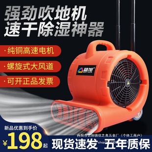 Ground blow dryer drying commercial hotel dehumidification floor blower household hair dryer public toilet air dryer wholesale