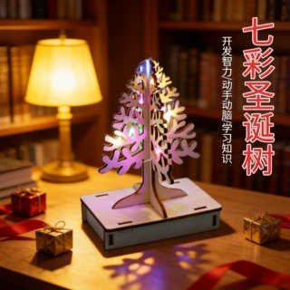 科学实验STEAM创客小制作七彩圣诞树小发明教具diy科技前沿材料包