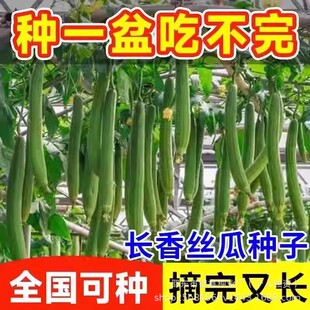 ���L�z�ϷN�������z�ϷN��ԭ�b�ļ��߲˷N�Ӵ�ȫ�˷N�Ӵ��l���l