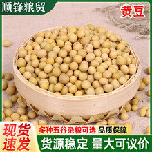 �F؛���l�|�����S�����Fĥ���{ԭ������s�Z���S�����w���S����