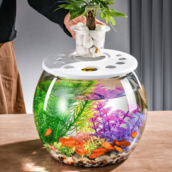 Plastic transparent aquarium for home use for living room