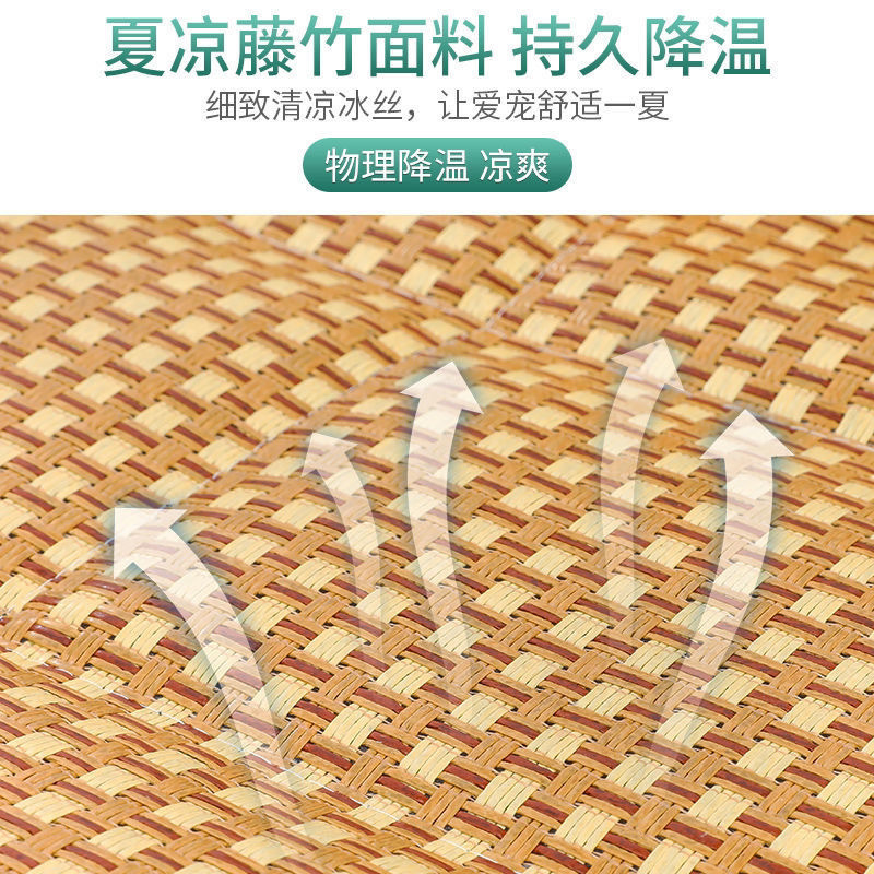 951e41fd-fc75-4cc6-9c9a-7e791d4e281d.jpe