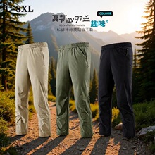 2026�ߏ����bѝ��ʿ���ļ������n�泱���\�����e�Lѝ�ӌ�����~ѝ